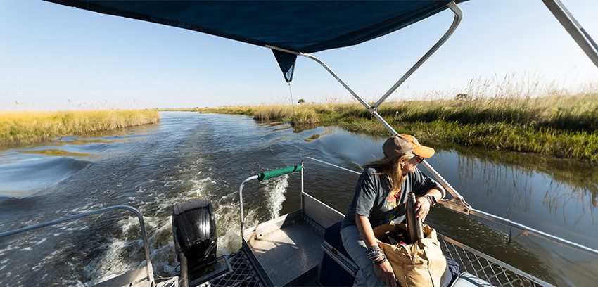 Everglades Airboat, Wildlife Experience with Roundtrip Transfer